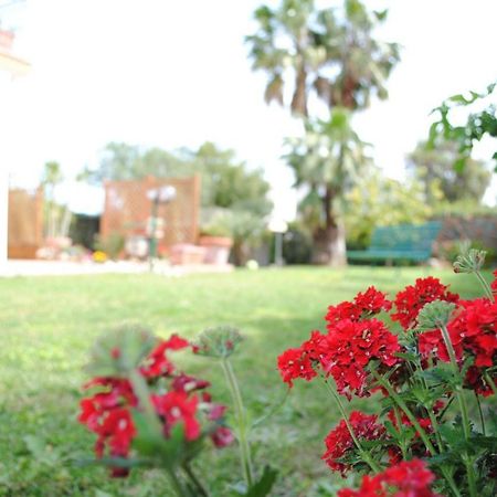 Villa Regina B&B Nettuno Ngoại thất bức ảnh