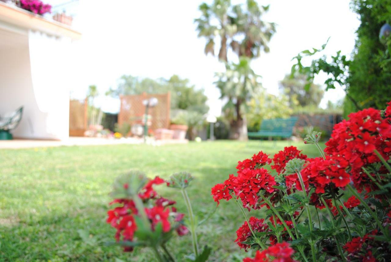 Villa Regina B&B Nettuno Ngoại thất bức ảnh
